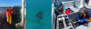 Left Picture: Three people on a boat in waterproof clothes with large metal objects and a blue basket on the ground Middle Picture: Fish swimming underwater with a black bag attached at the end of a metal pole wrapped with black tape Right Picture: Two people on a boat wearing hats and flotation devices touching metal frame. Blue basket with buoy on ground behind one of the people. A third person is in the background.